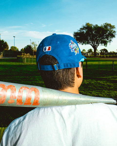 SLUGGERS WORLD SERIES HAT